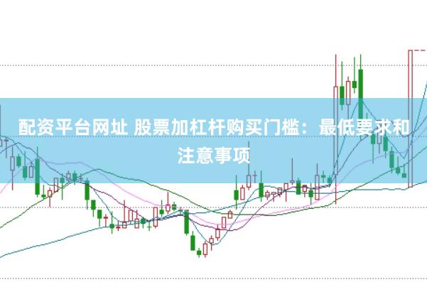 配资平台网址 股票加杠杆购买门槛：最低要求和注意事项