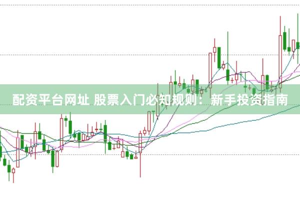 配资平台网址 股票入门必知规则：新手投资指南