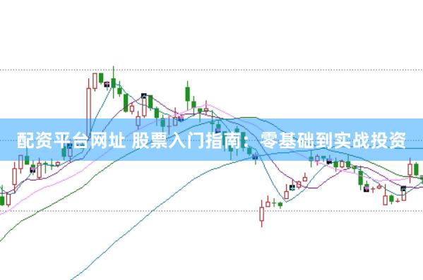 配资平台网址 股票入门指南：零基础到实战投资