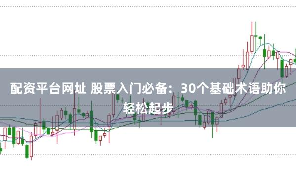 配资平台网址 股票入门必备：30个基础术语助你轻松起步