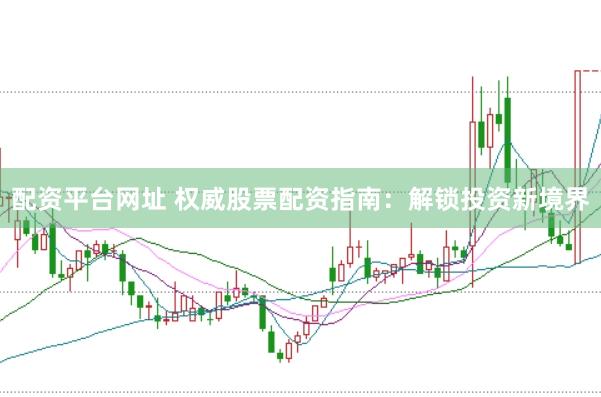 配资平台网址 权威股票配资指南：解锁投资新境界