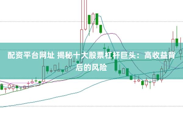 配资平台网址 揭秘十大股票杠杆巨头：高收益背后的风险