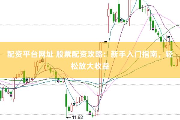 配资平台网址 股票配资攻略：新手入门指南，轻松放大收益