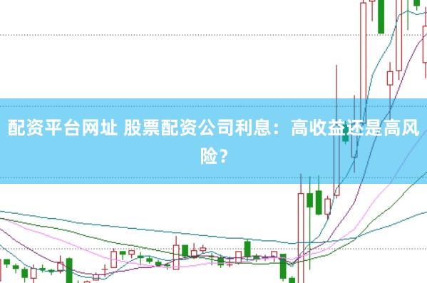 配资平台网址 股票配资公司利息：高收益还是高风险？