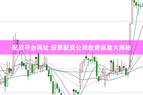 配资平台网址 股票配资公司收费标准大揭秘