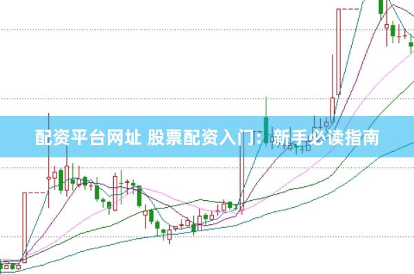 配资平台网址 股票配资入门：新手必读指南