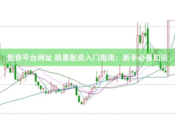 配资平台网址 股票配资入门指南：新手必备知识