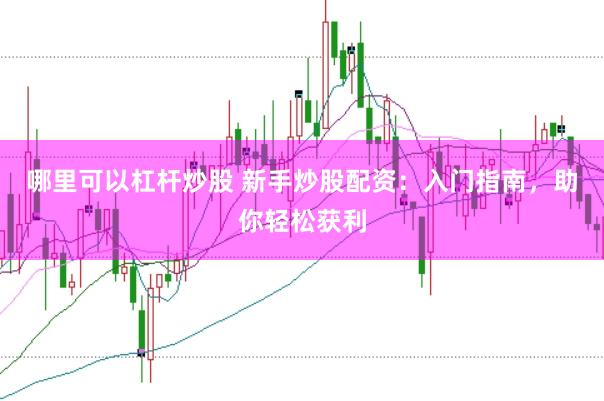 哪里可以杠杆炒股 新手炒股配资：入门指南，助你轻松获利