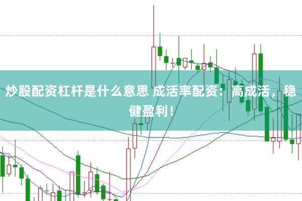 炒股配资杠杆是什么意思 成活率配资：高成活，稳健盈利！