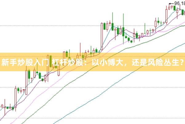新手炒股入门 杠杆炒股：以小博大，还是风险丛生？