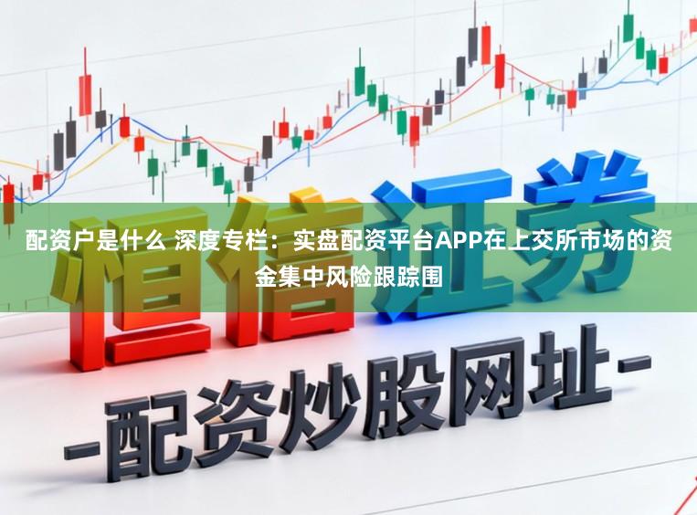 配资户是什么 深度专栏：实盘配资平台APP在上交所市场的资金集中风险跟踪围