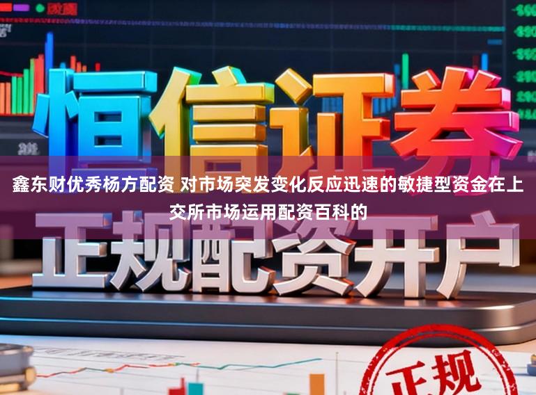 鑫东财优秀杨方配资 对市场突发变化反应迅速的敏捷型资金在上交所市场运用配资百科的